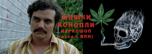 apvp Алзамай