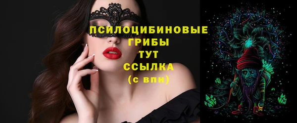 молекула духа Алексин