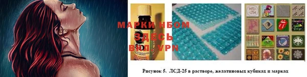 ГАЛЛЮЦИНОГЕННЫЕ ГРИБЫ Алексеевка