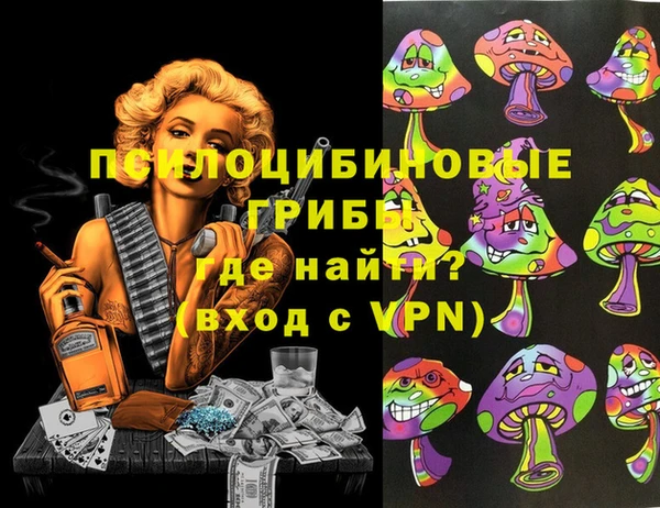 ГАЛЛЮЦИНОГЕННЫЕ ГРИБЫ Алексеевка