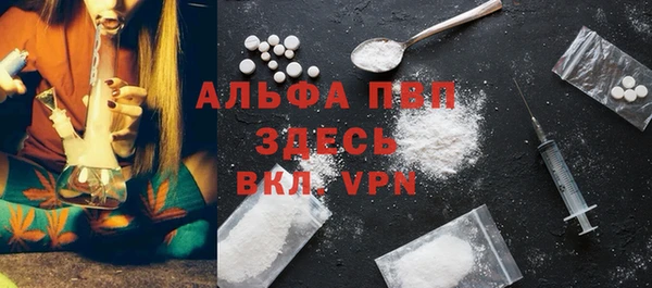 молекула духа Алексин