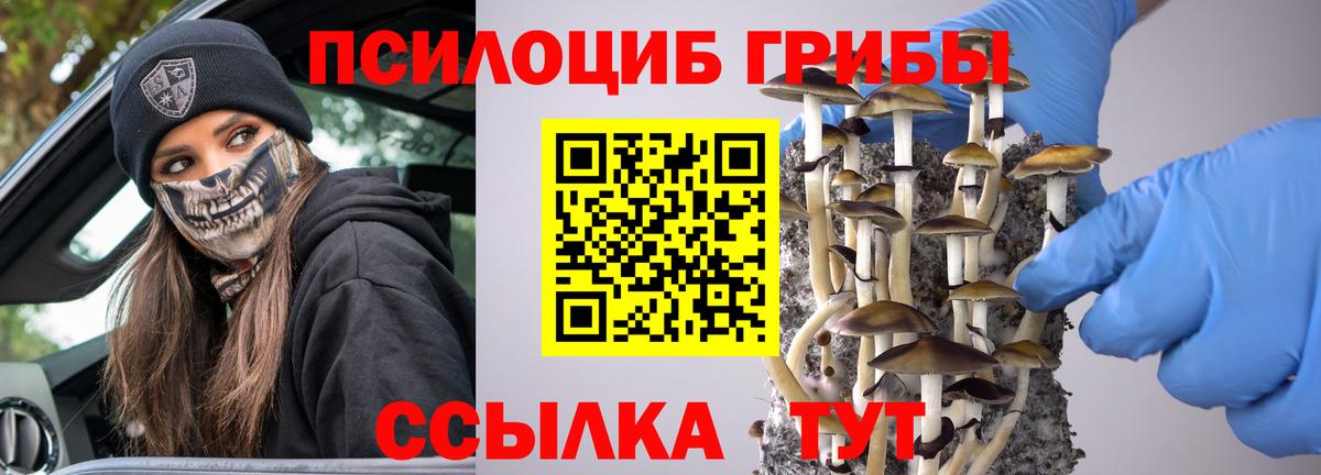 Псилоцибиновые грибы мицелий Минусинск